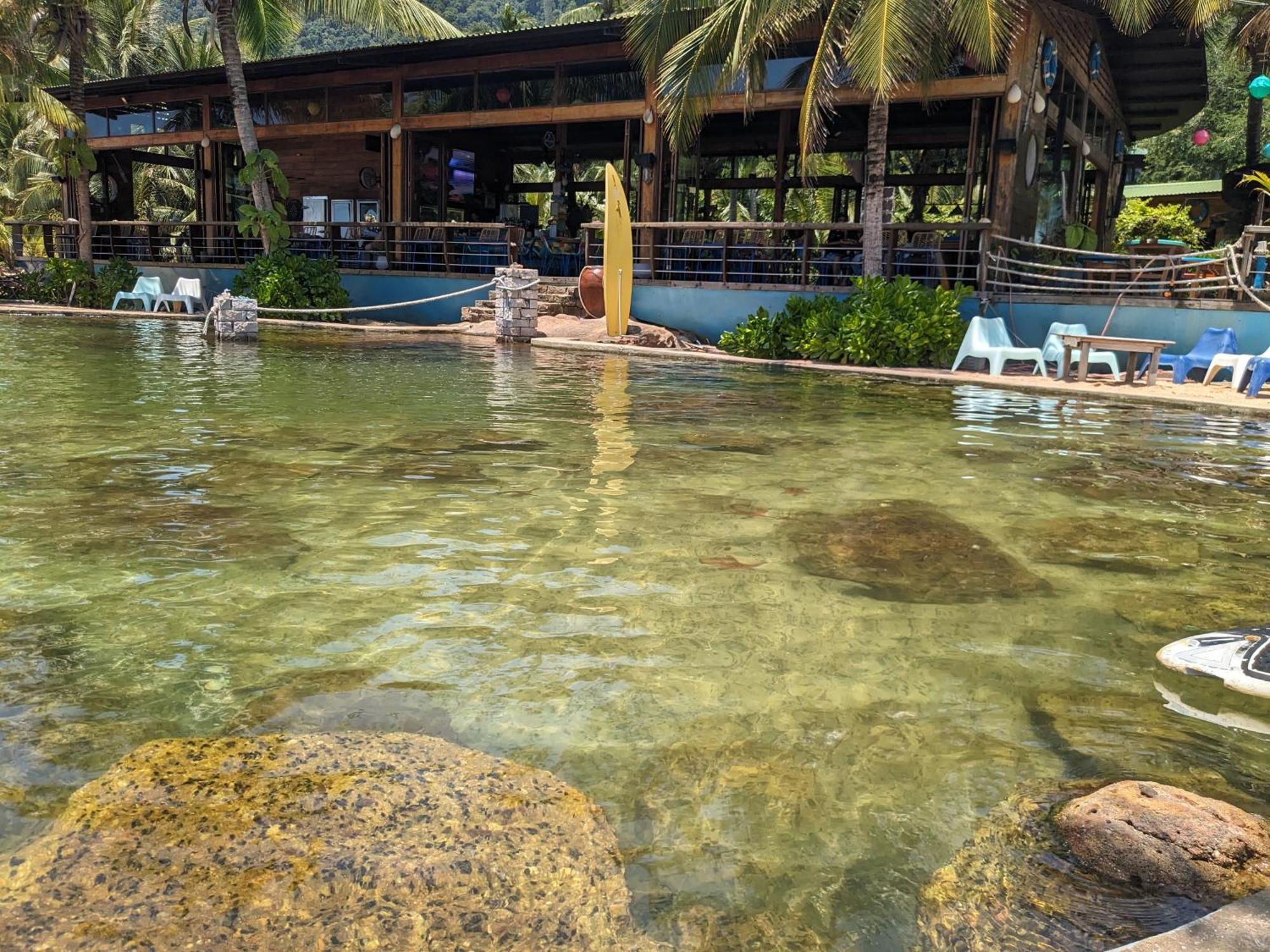 Rorys Beach Bar Дуонг-Донг Экстерьер фото